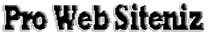 Pro Web Siteniz Kurumsal V6 Scripti
